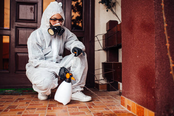 Reliable Wasp Removal contractor in Mill Valley, CA by Show Me Pest Control